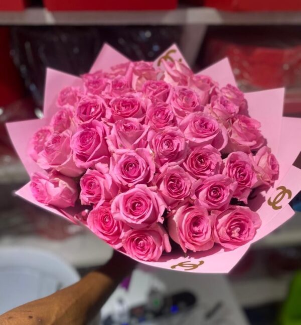 Pink Roses
